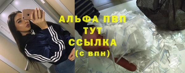 ГАЛЛЮЦИНОГЕННЫЕ ГРИБЫ Иннополис