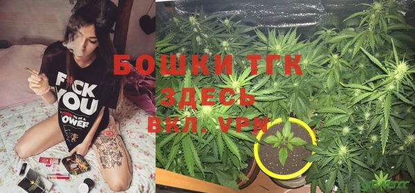 дживик Зеленодольск