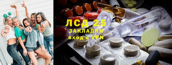 ГАЛЛЮЦИНОГЕННЫЕ ГРИБЫ Иннополис