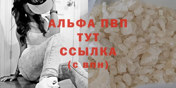 ГАЛЛЮЦИНОГЕННЫЕ ГРИБЫ Иннополис